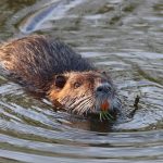 Photo by Šárka Krňávková on Unsplash