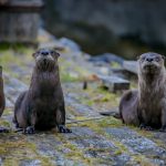 Photo by Thomas Lipke on Unsplash